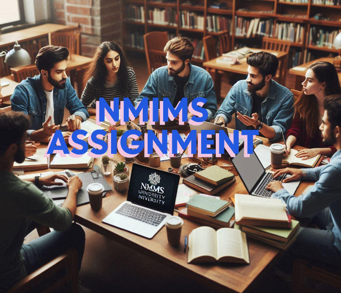 NMIMS Solved Assignments December 2024